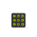 Flag Football Magnets - Position-Labeled Sets of 9